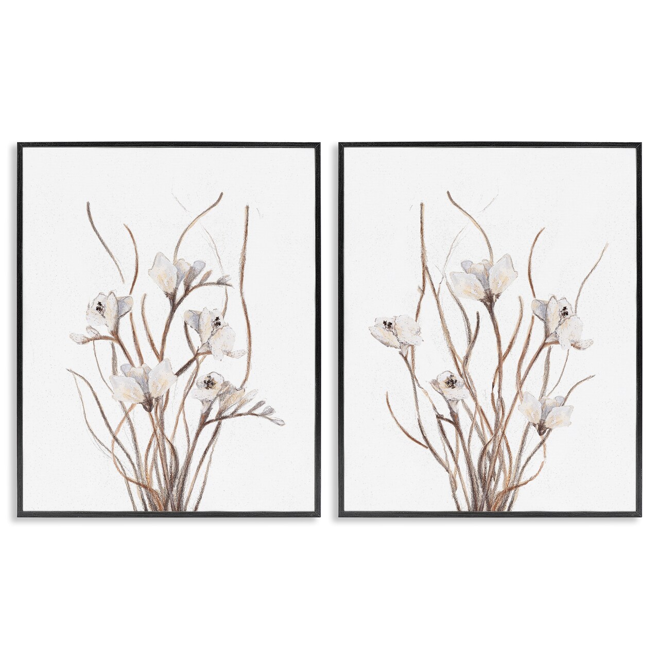 Stupell Industries Curly Branches Wildflowers 2pc Framed Giclee Set, design by Lanie Loreth